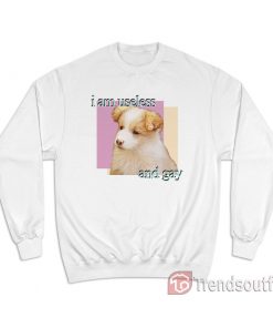 Dog I Am Useless And Gay Puppy Meme Sweatshirt