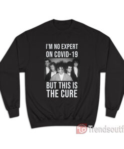 I'm No Expert On Covid-19 But This Is The Cure Sweatshirt