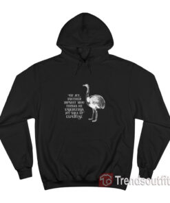 Oh Joy Another Dipshit Who Thinks He Understands My Area Of Expertise Hoodie