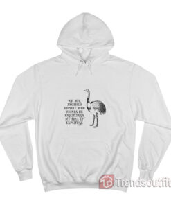 Oh Joy Another Dipshit Who Thinks He Understands My Area Of Expertise Hoodie