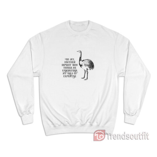 Oh Joy Another Dipshit Who Thinks He Understands My Area Of Expertise Sweatshirt