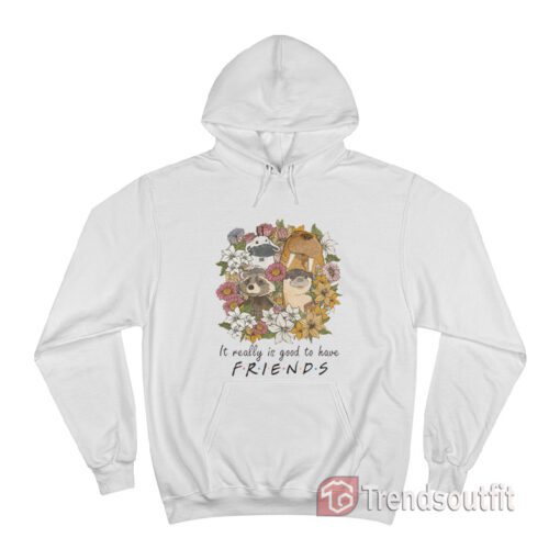 Floral Rocket Racoon It Really Is Good To Have Friends Hoodie