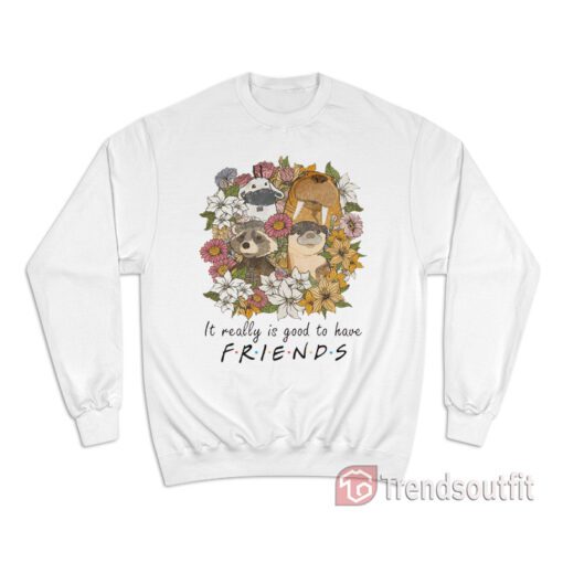 Floral Rocket Racoon It Really Is Good To Have Friends Sweatshirt