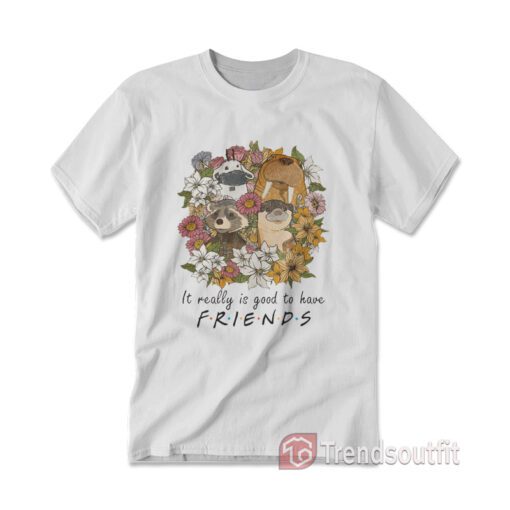 Floral Rocket Racoon It Really Is Good To Have Friends T-Shirt