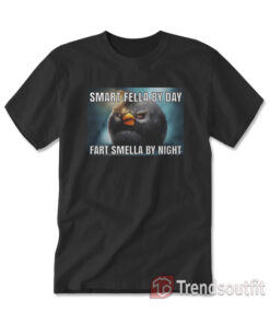 Smart Fella By Day Fart Smella By Night T-shirt