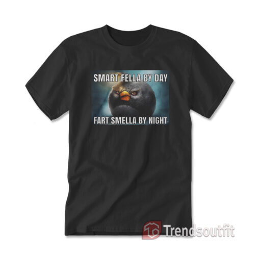 Smart Fella By Day Fart Smella By Night T-shirt