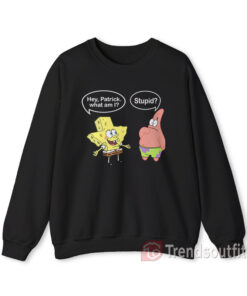 Spongebob and Patrick Texas Stupid Sweatshirt