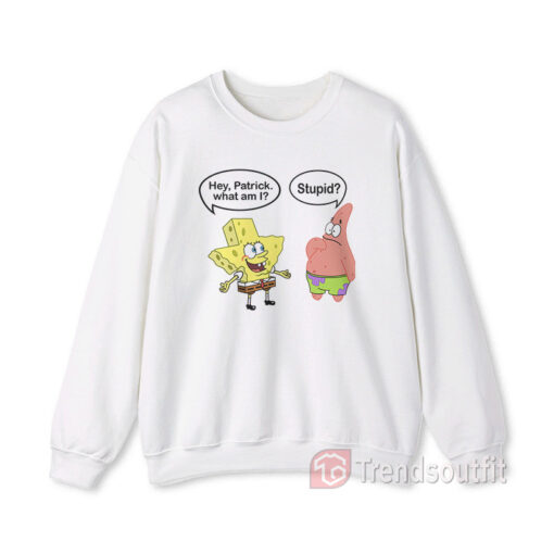 Spongebob and Patrick Texas Stupid Sweatshirt