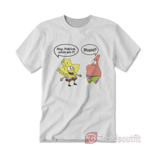 Spongebob and Patrick Texas Stupid T-Shirt